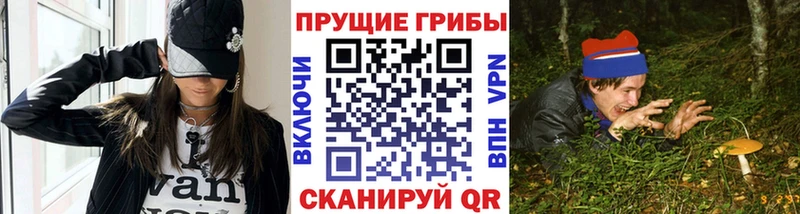 Псилоцибиновые грибы Cubensis  Ростов-на-Дону 